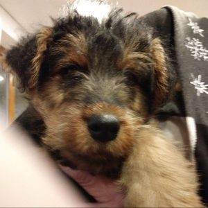 Meet your Posher, Michael